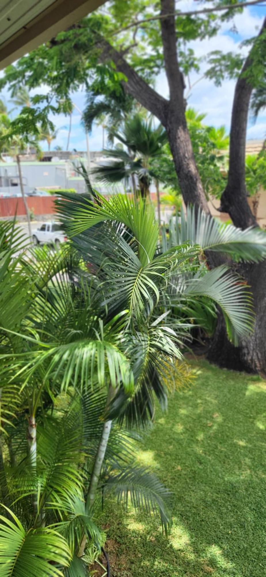 Kihei Kai Nani Resort Bagian luar foto