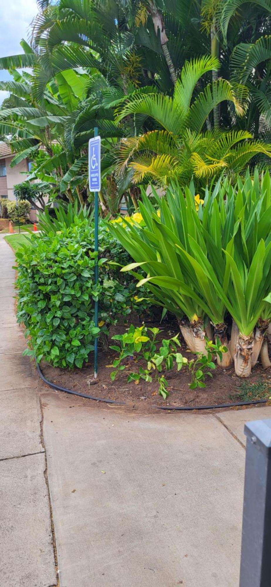 Kihei Kai Nani Resort Bagian luar foto