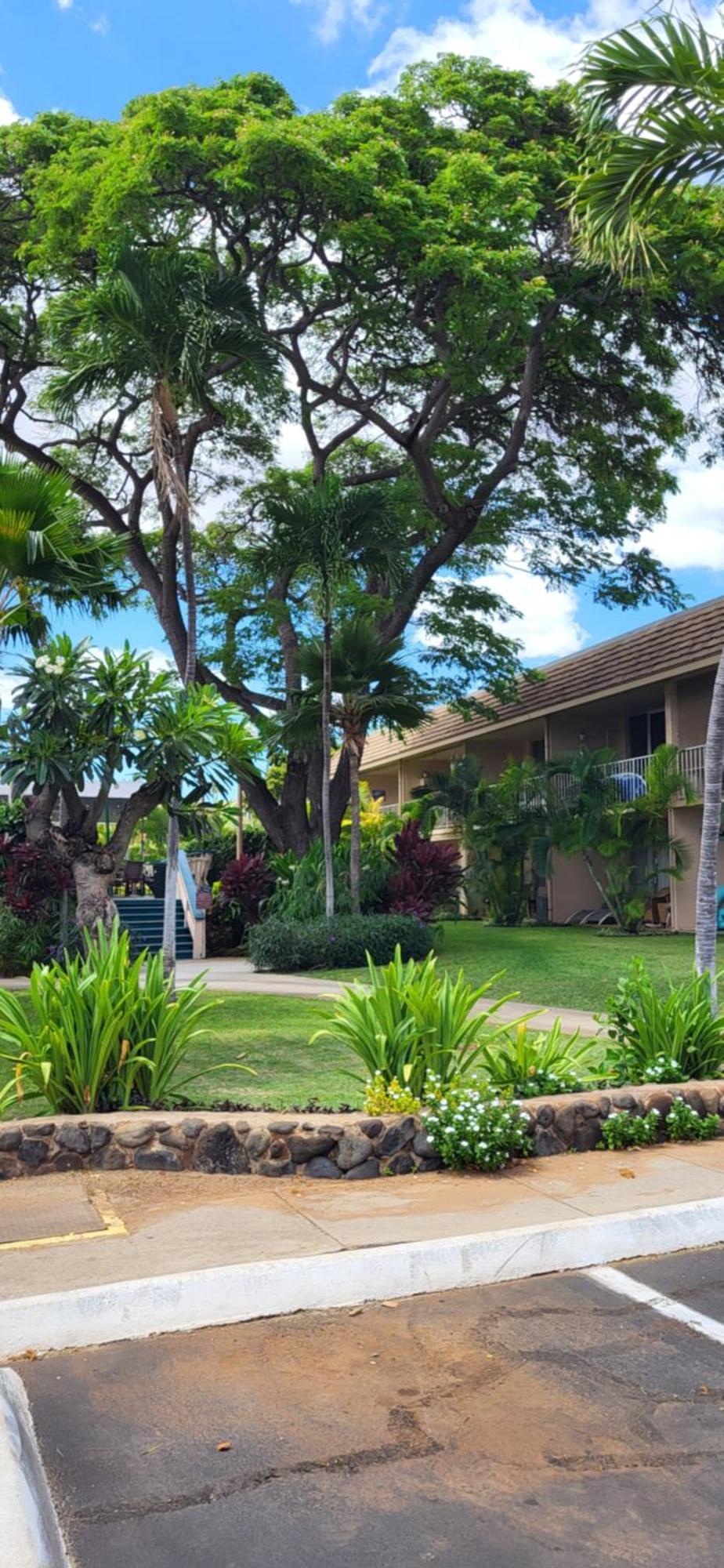 Kihei Kai Nani Resort Bagian luar foto